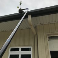 gutter-cleaning-commercial-removing-plant-ptc-ga